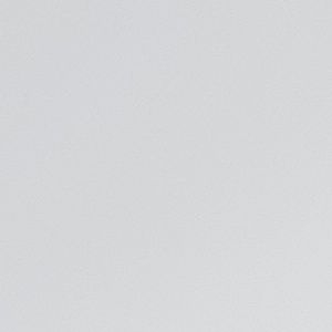 St. Johns Bay Floral Capri Pants New w/tag